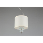Подвесной светильник Aployt Mona APL.729.06.01