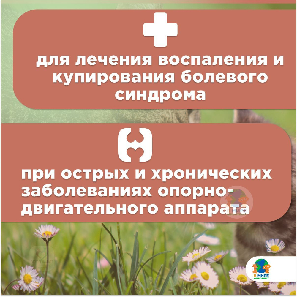 Мелоксидил Сева (Ceva) для кошек и котов суспензия для орального применения, 0.5 мг/мл, фл. 15 мл. Мелоксикам.