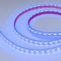 Светодиодная лента герметичная RTW-PFS-B60-13mm 12V Blue (14.4 W/m, IP68, 5060, 5m) (Arlight, 14.4 Вт/м, IP68) 036280