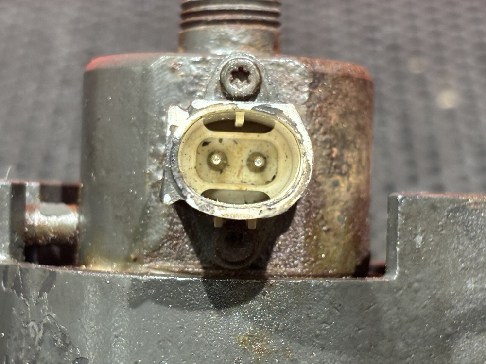 PLD секция 2019г.