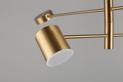 Люстра на штанге Aployt Frania APL.017.17.48