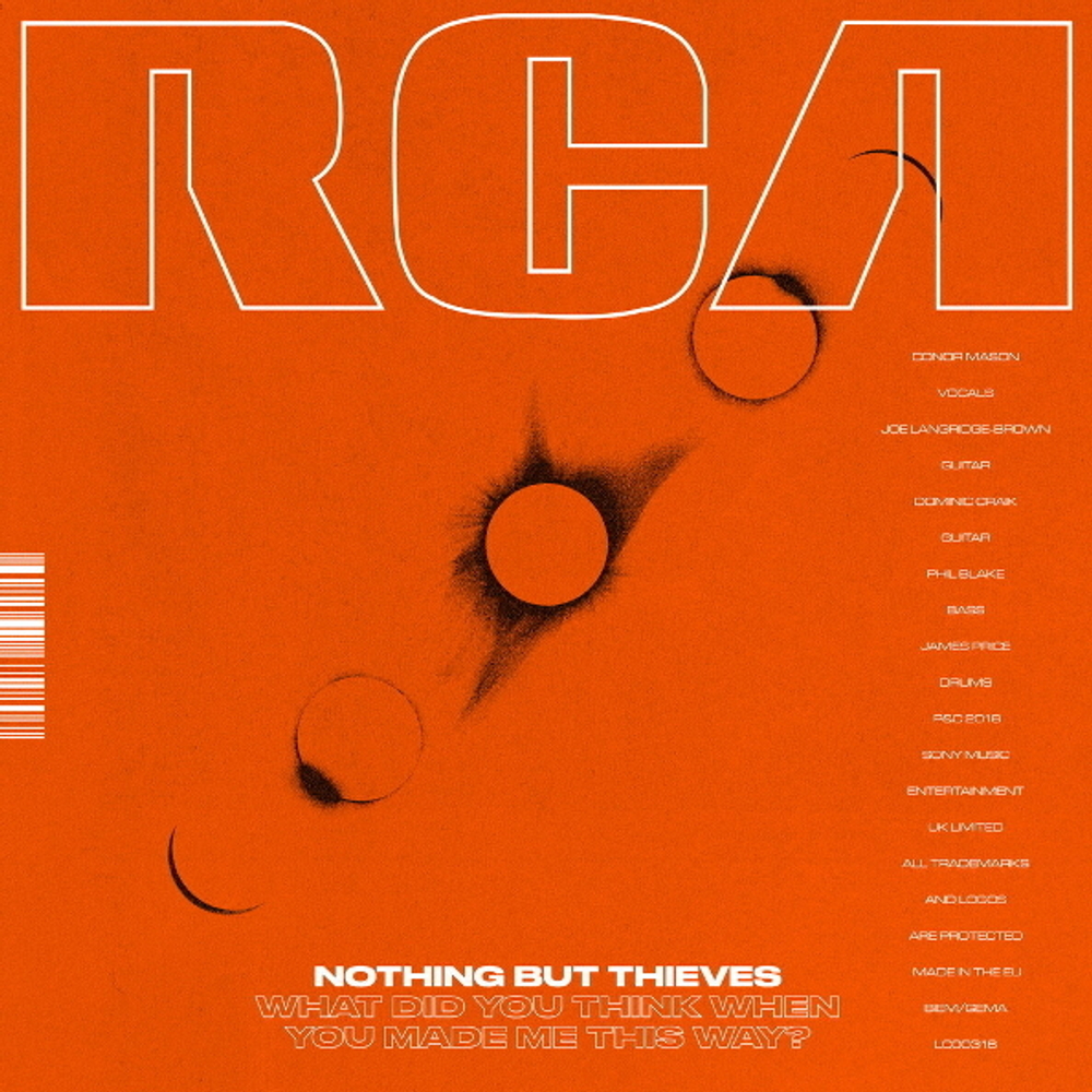 Nothing But Thieves / What Did You Think When You Made Me This Way? (12" Vinyl EP)