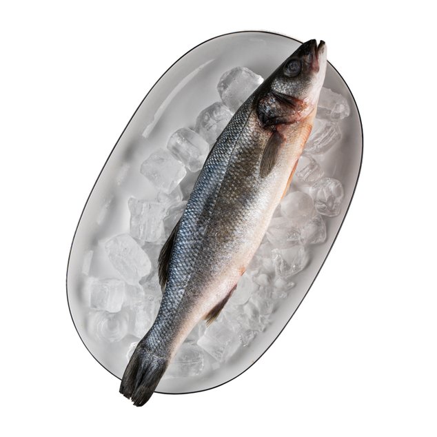 Сибас охлажденный