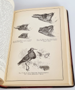 "Собрание сочинений.  В четырех томах."  Ч.Р.Дарвин. 1901 г.