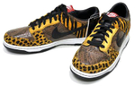 Кроссовки Nike Dunk Sb Premium Beast Pack