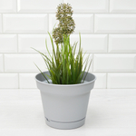 Горшок цветочный Mint 2,3л d185мм, серый