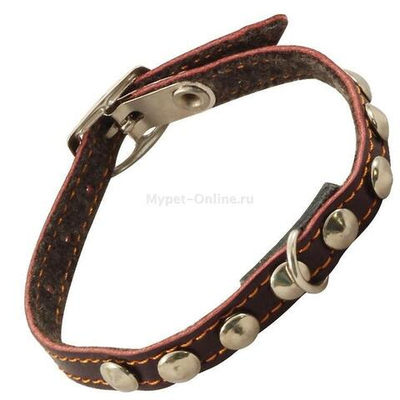 Ошейник-мини на синтепоне с украшением кожаный, 12*250мм, Gamma