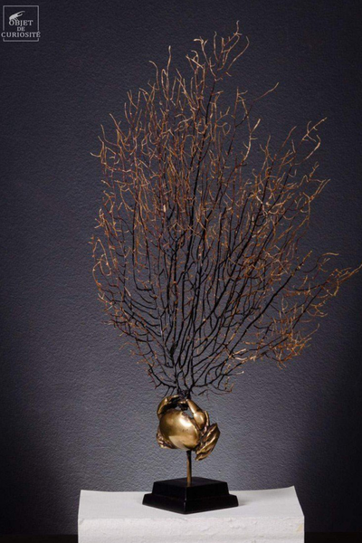 Новый бренд эксклюзивных предметов мебели и декора - Objet de Curiosite