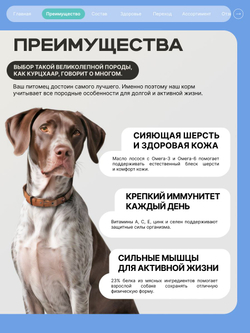 Корм для взрослых собак породы Курцхаар, с кроликом, 12 кг, QUATTRO