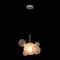 Подвесной светильник Loft IT Bolle 2030-P6 mini