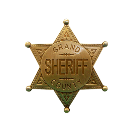 Denix Значок окружного шерифа