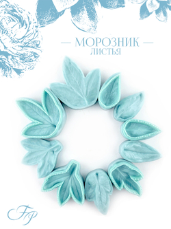 Морозник листья