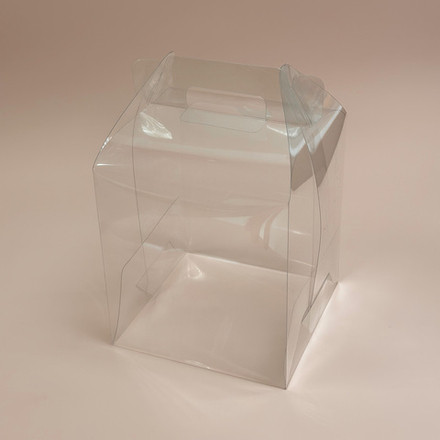 Коробка-домик пластиковая 16 х 16 х 17 см