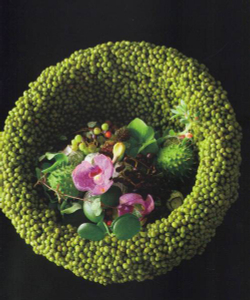 Yuko Takagi. Contemporary Floral Art