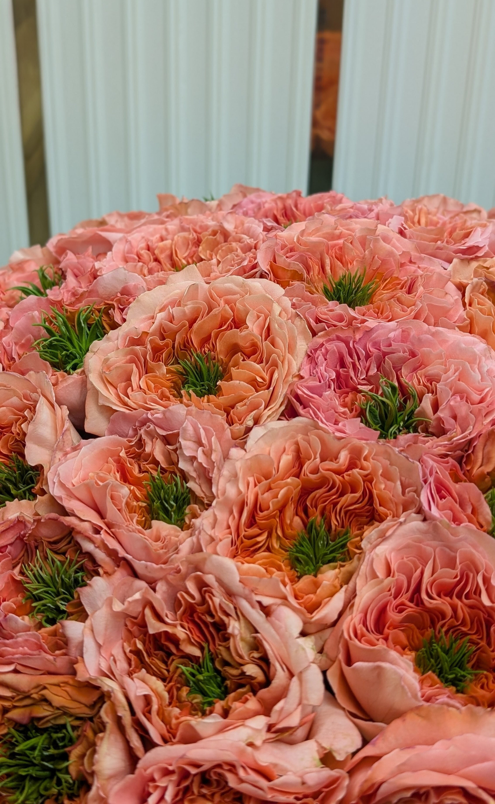 Розы Mandarin Expression в шляпной коробке размер XL