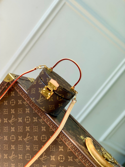 Louis Vuitton Scott