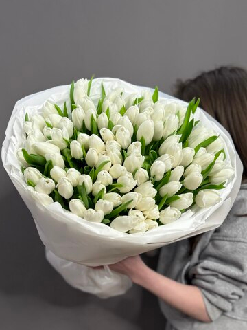 Монобукет из 101 белого тюльпана