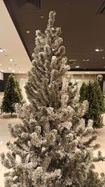 Заснеженная Ель «Лесная сказка» (пвх) высота 2,1 м