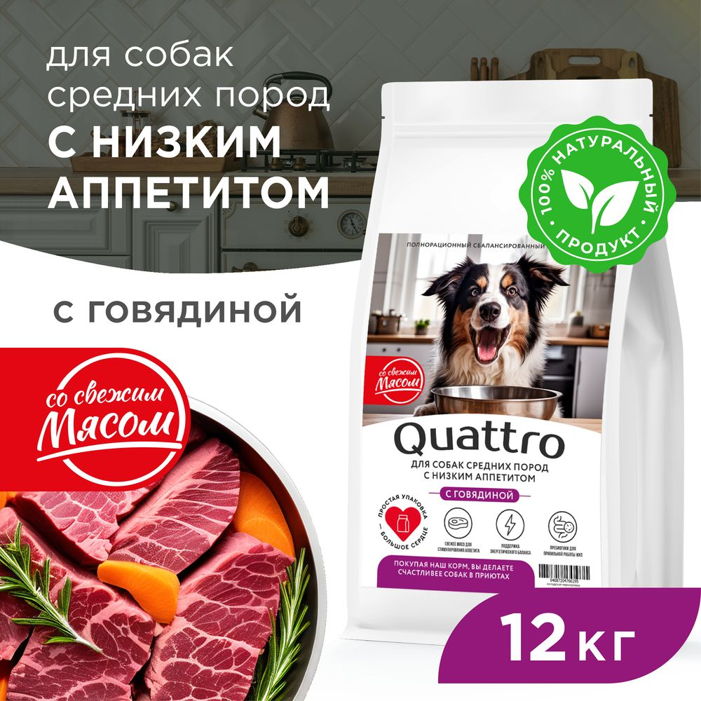 Корм сухой для взрослых собак средних пород, премиум полнорационный комплекс, низкий аппетит, с говядиной, 12 кг, QUATTRO