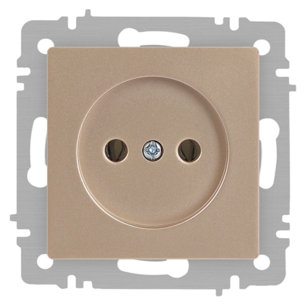 Розетка Intro Accent 6-201-04 2P 16А-250В IP20 СУ AL/CU шампань