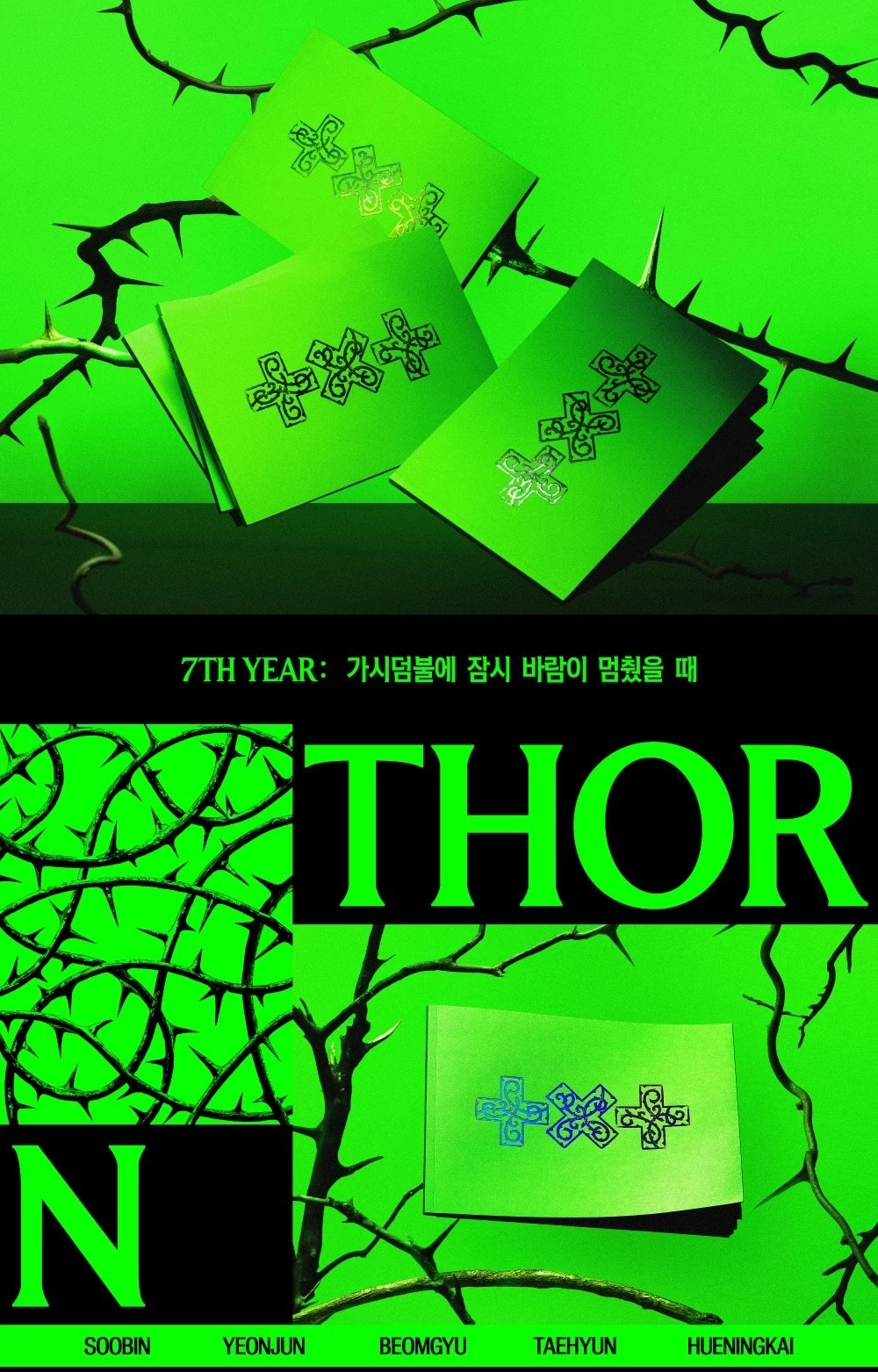 Альбом TXT - 7TH YEAR: A Moment of Stillness in the Thorns [THORN ver.]