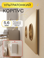 Ультратонкая двойная розетка, золотая