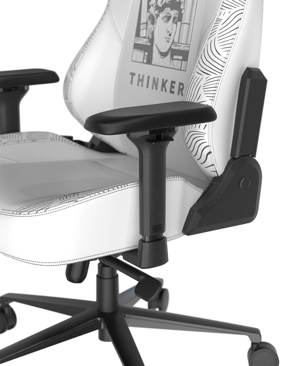 Кресло игровое DXRacer Craft CRA/DXL5000/THINKER