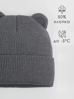 Шапка для мальчика с ушками осенняя