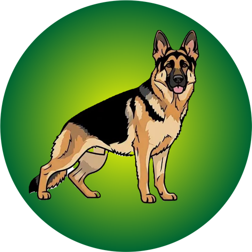 Собаки от 12 мес. - подробнее...→