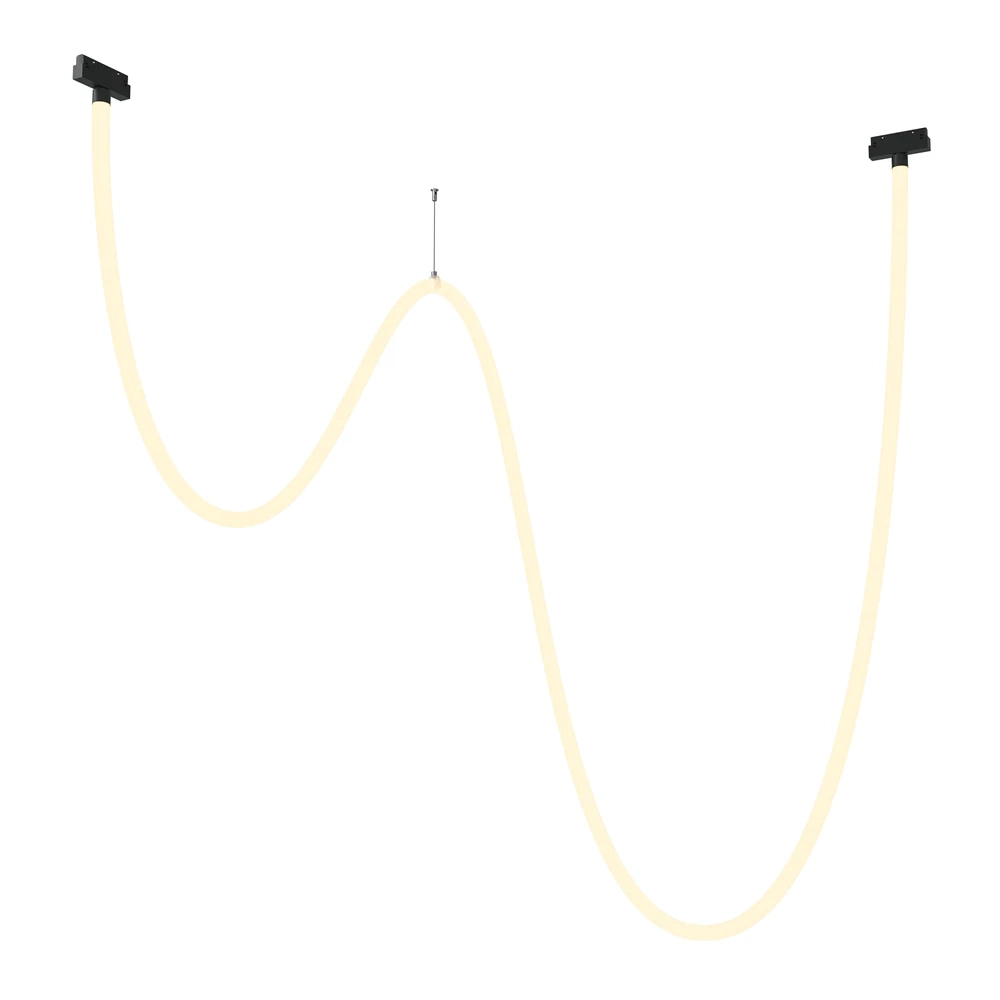 Магнитный трековый подвесной светильник Maytoni TAU TR101-2-100W3K-B