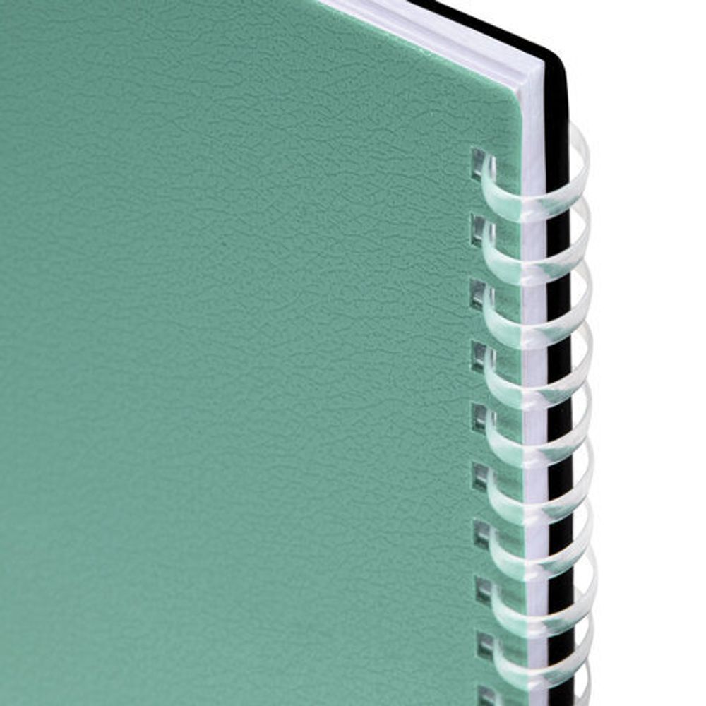 Тетрадь обложка пластик, А4 80 л., гребень мягкий (силиконовый), клетка, BRAUBERG, зеленая, 405355