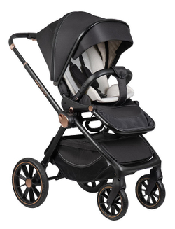 Детская коляска Farfello Belleza 3 в 1 2025 черный