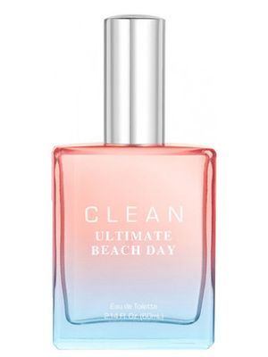 Clean Ultimate Beach Day