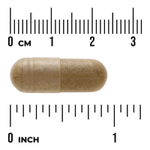 Swanson Vitamins, Комплекс из сенны, какары и физлиума, 90 капсул