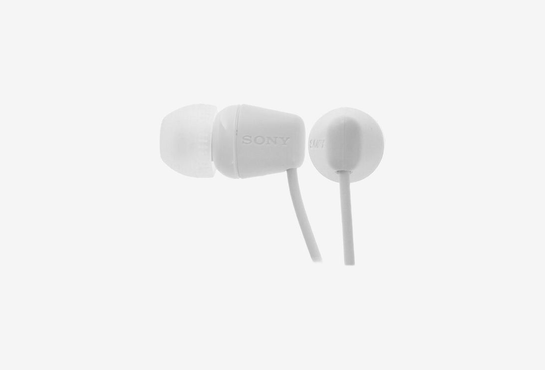 Sony WI-C100_0126330101102