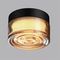 Настенно-потолочный светильник Odeon Light Ronda Hightech 7158/6CL