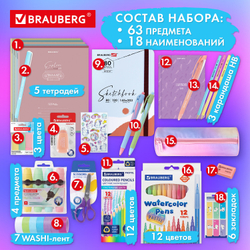 Набор канцелярии подарочный BRAUBERG "PASTEL", 18 наименований, 63 предмета, 880952