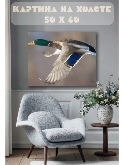 Картина на стену 40 X 50 Селезень