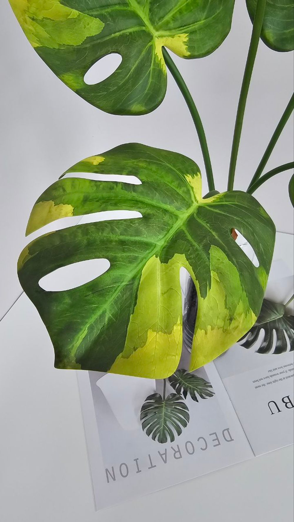 Монстера / Арт 6368