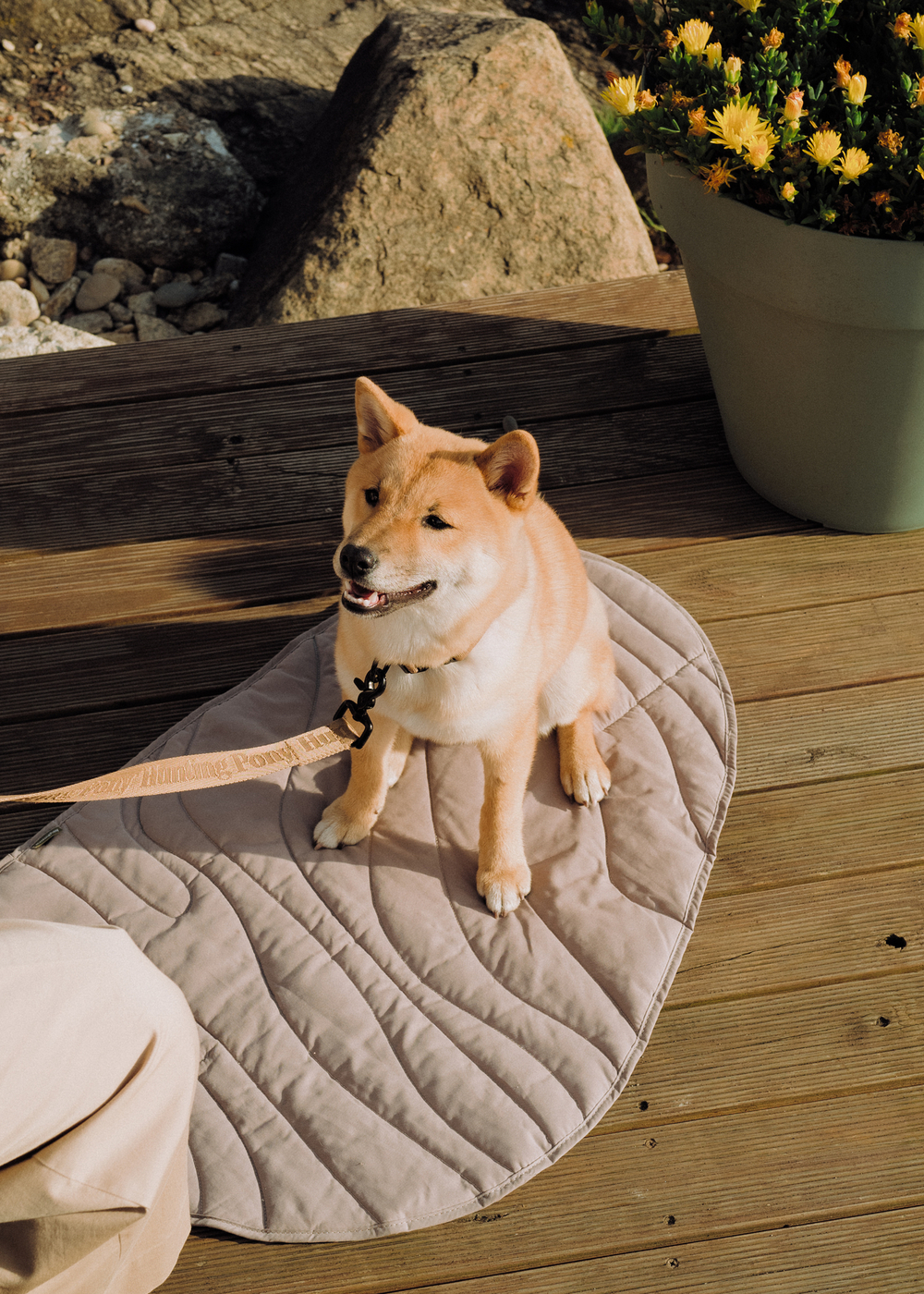 Тревел-Коврик "Пони-Роллони"