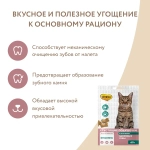 Лакомство для кошек Мнямс"Здоровые зубы" хрустящие подушечки с цыпленком 60 гр, 10 шт