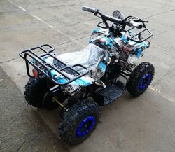 Квадроцикл GreenCamel Гоби K32 (36V 1000W R6 Цепь) ножной тормоз