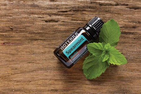 Эфирное масло doTERRA Садовая мята, Spearmint, 15 мл