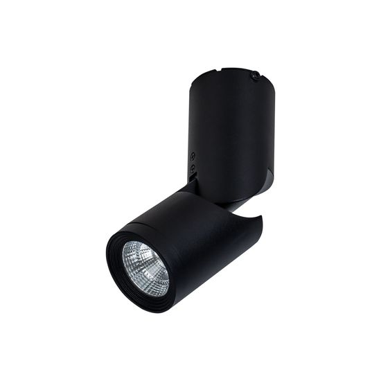 Потолочный светильник Technical C019CW-01B