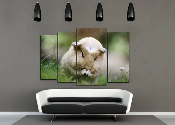 Модульная картина "Морская свинка"