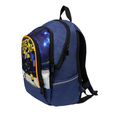 Рюкзак школьный Калипсо "Хоккей" 42*28*20 см. 2 отд., 1 карман, боковые карманы (Luris)