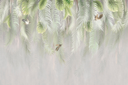 Коллекция Тропическое