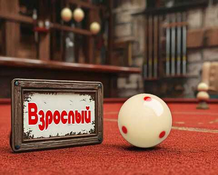 Бильярд для взрослых в школе Poolschool