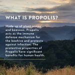 Manuka Health, Медовый спрей для горла Manuka с прополисом, MGO 400+, 0,67 жидк. унц.