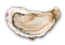 Приморские устрицы, шт Приморские устрицы, шт